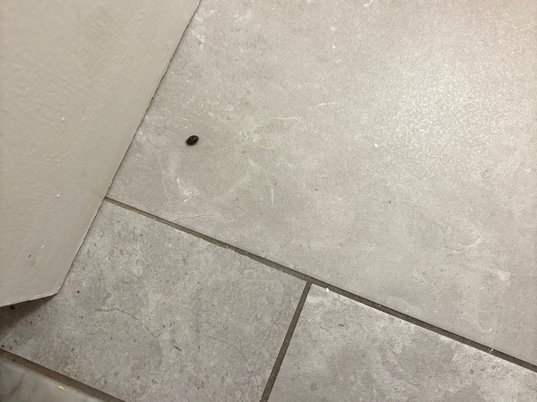 Quality Inn-Tucumcari主图