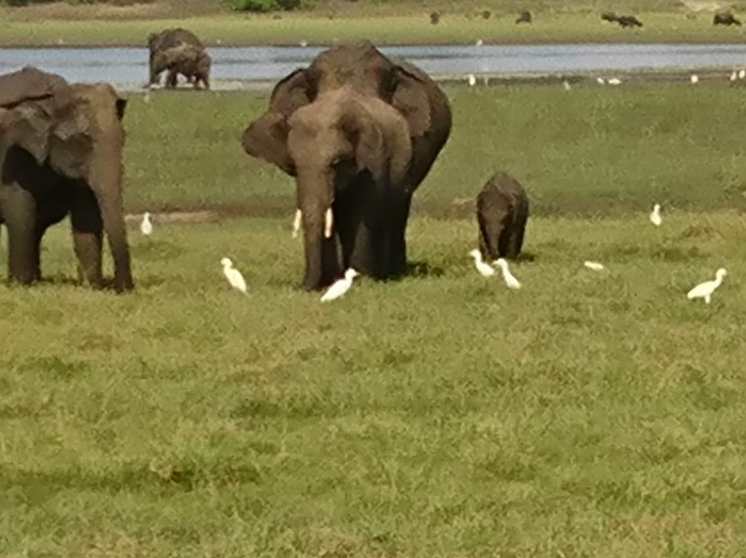 SKYGO LANKA TRAVELS-Welisara必去景点