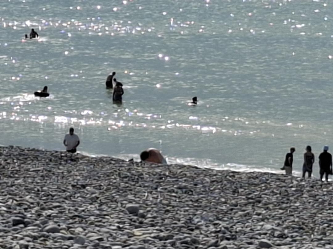 Plage De Cayeux-Cayeux-sur-Mer必去景点