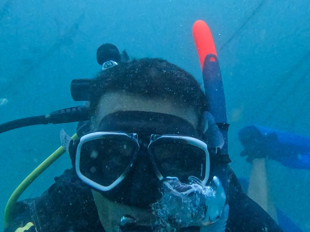 Temple Adventures-朋迪榭里必去景点