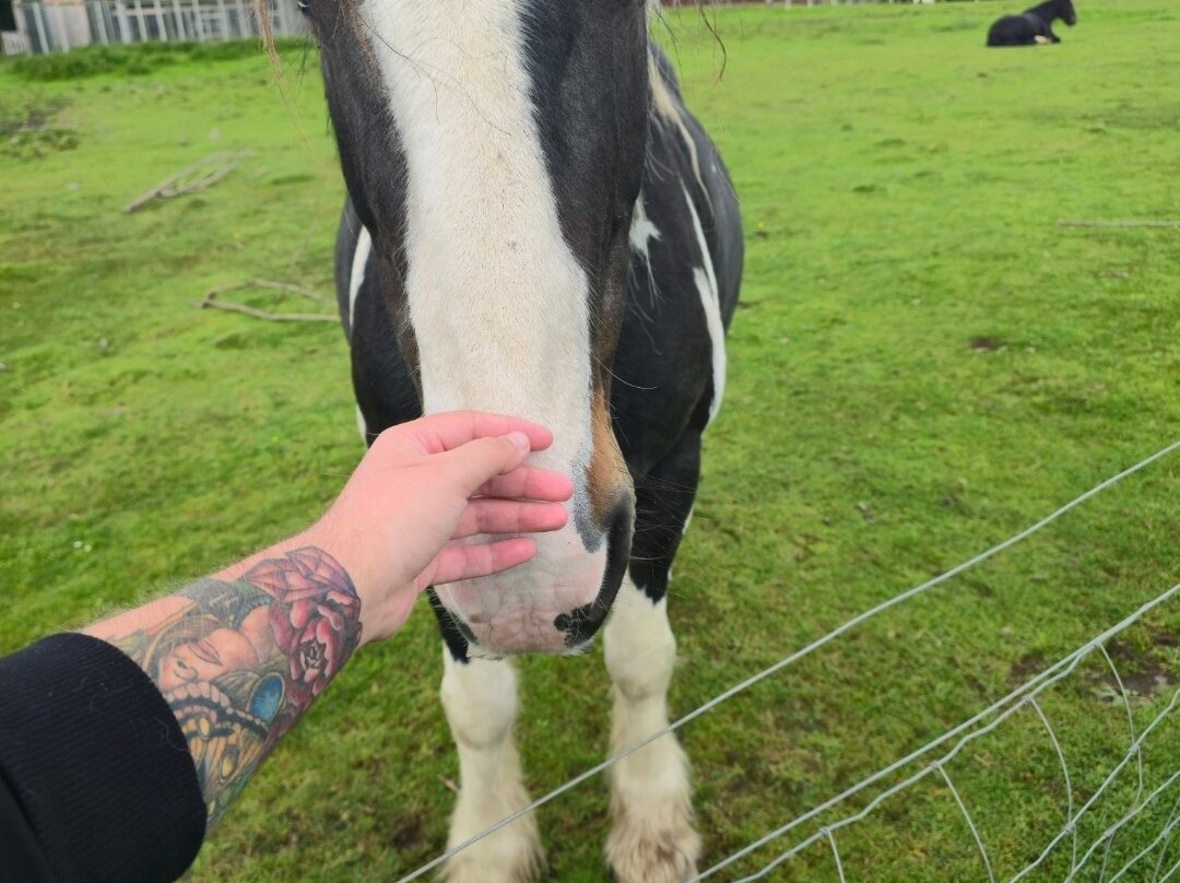 Tulloch Farm-Roybridge必去景点