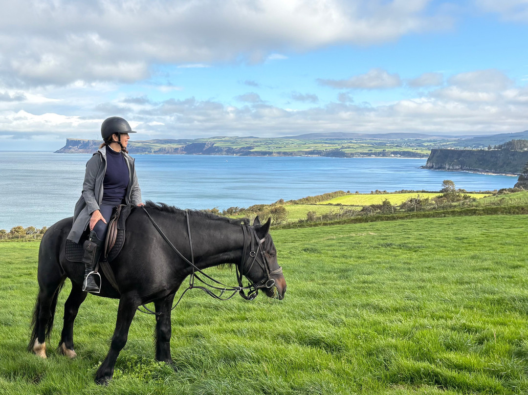 Bespoke Equestrian Ireland-都柏林必去景点