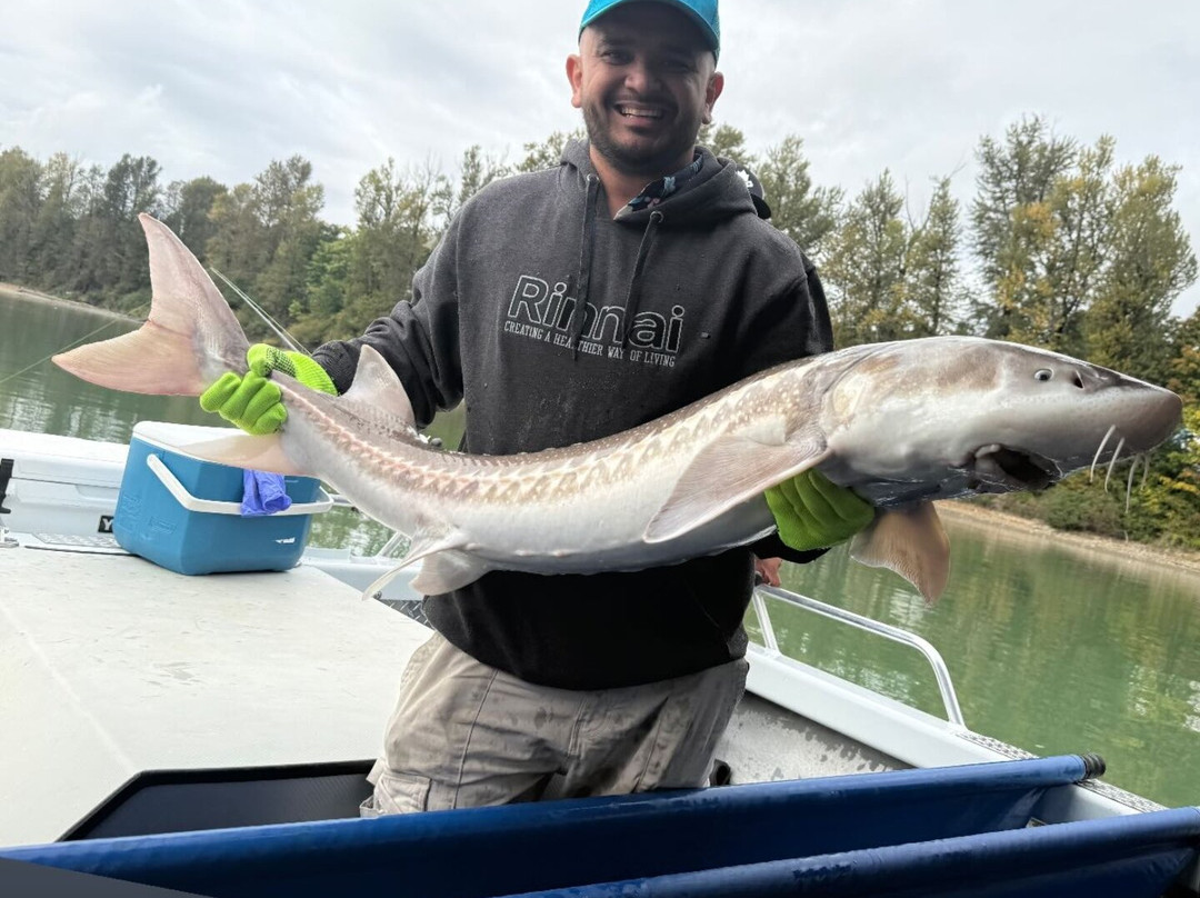 Mainlanders Sport Fishing-奇利瓦克必去景点