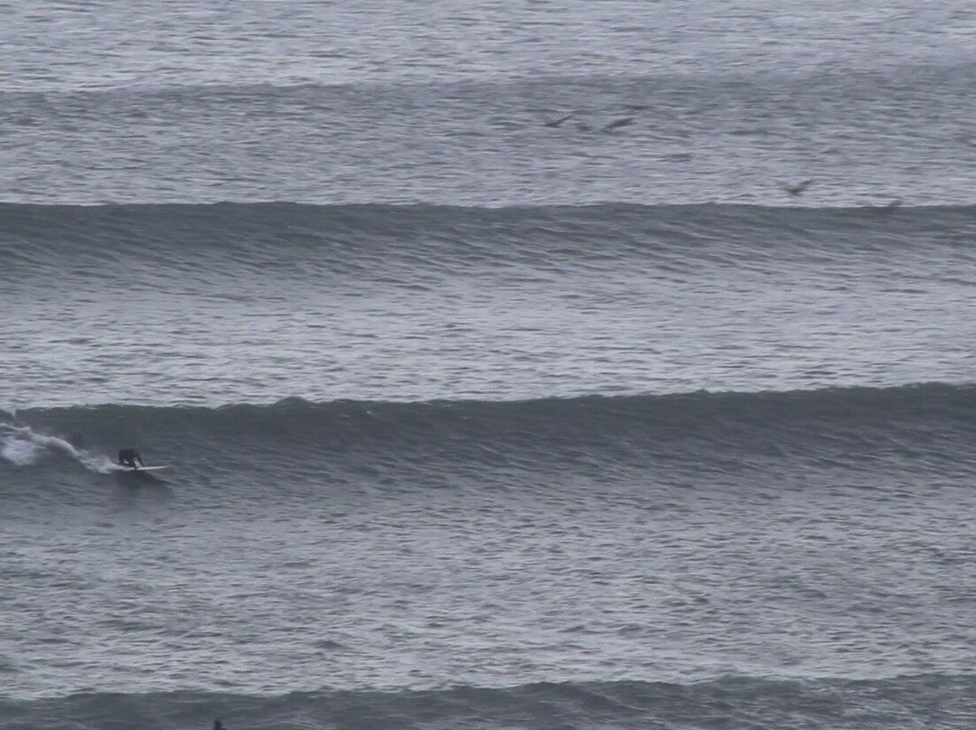 Surf With Amigas - Peru-Puerto Malabrigo必去景点