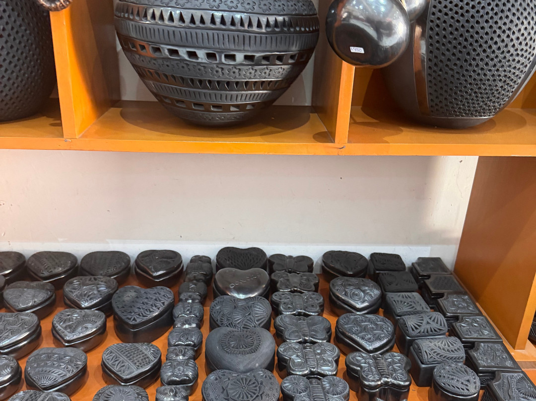 Shenic Tours-瓦哈卡必去景点