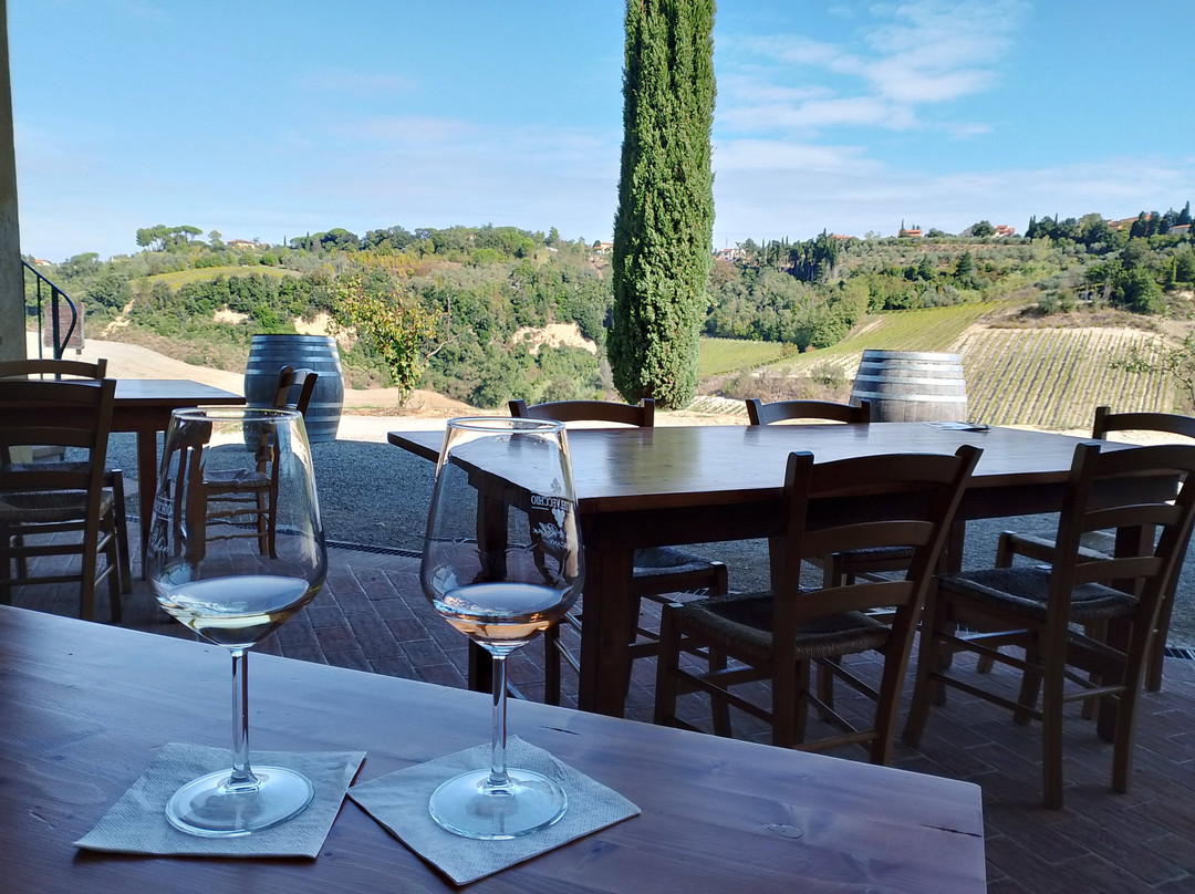 Azienda Agricola Castelvecchio-Terricciola必去景点