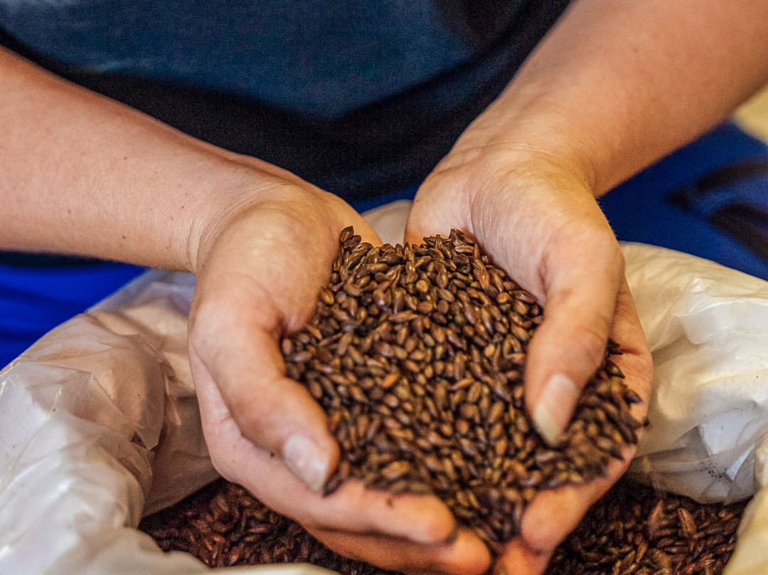 BierMythos - Brauerei Schloss Starkenberg-Tarrenz必去景点