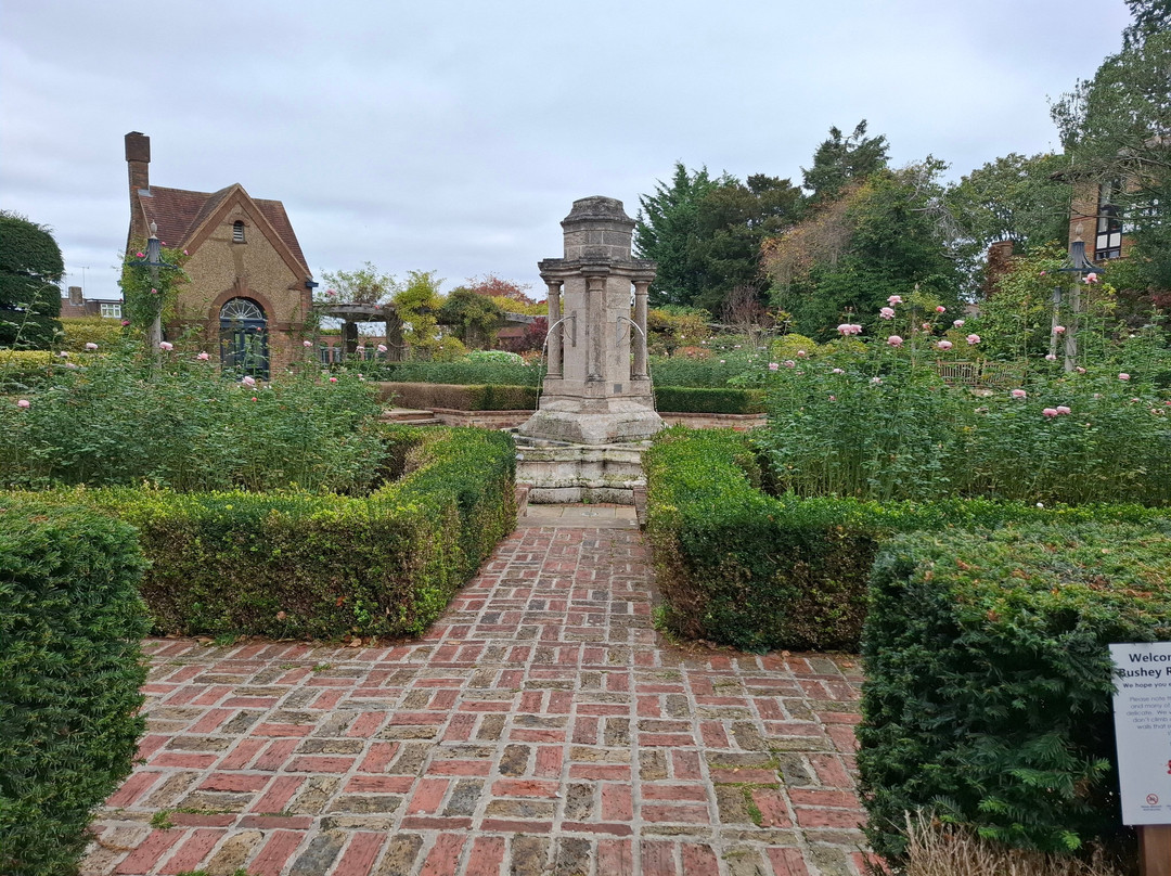 Bushey Rose Garden-Bushey必去景点