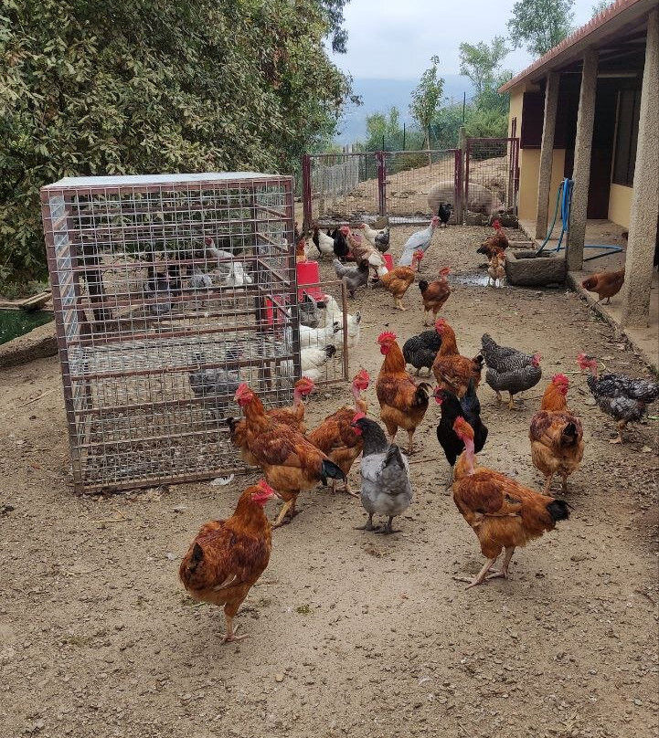 Quinta Da Raza-Celorico de Basto必去景点