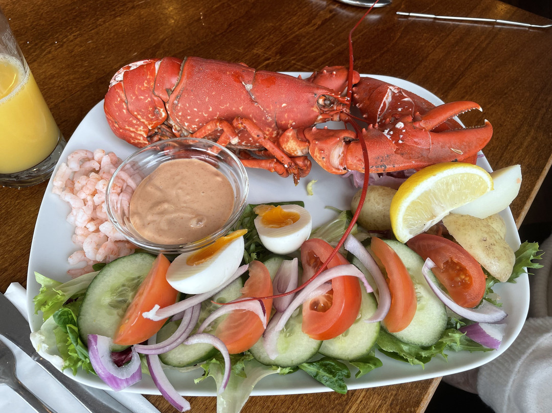 Harbour Lights South Shields