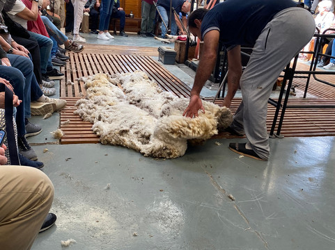 Estancia San Guillermo-马德林港必去景点