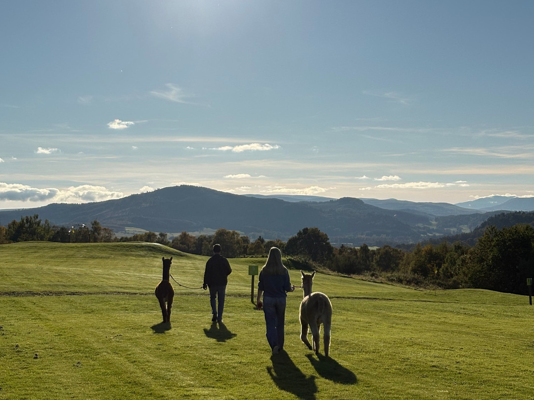 Action Glen At Crieff Hydro-Crieff必去景点