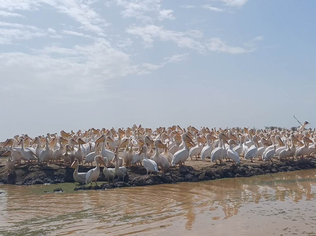 朱吉鸟类保护区-圣路易必去景点