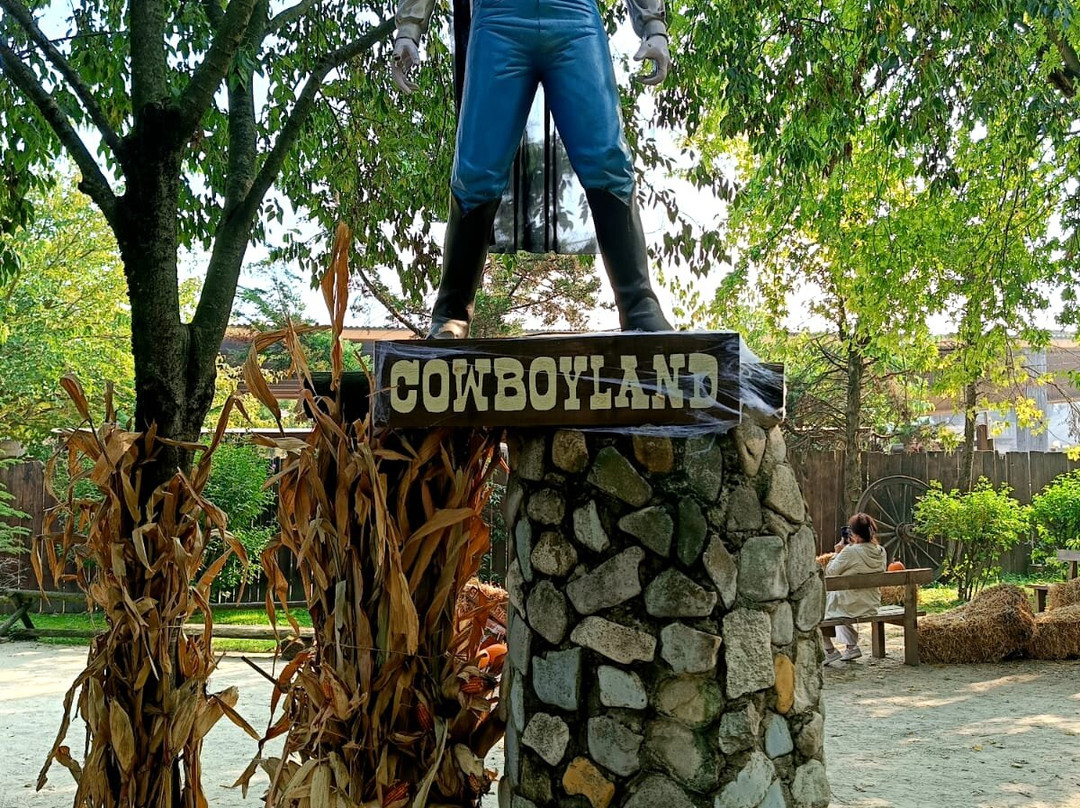 Cowboyland-沃盖拉必去景点