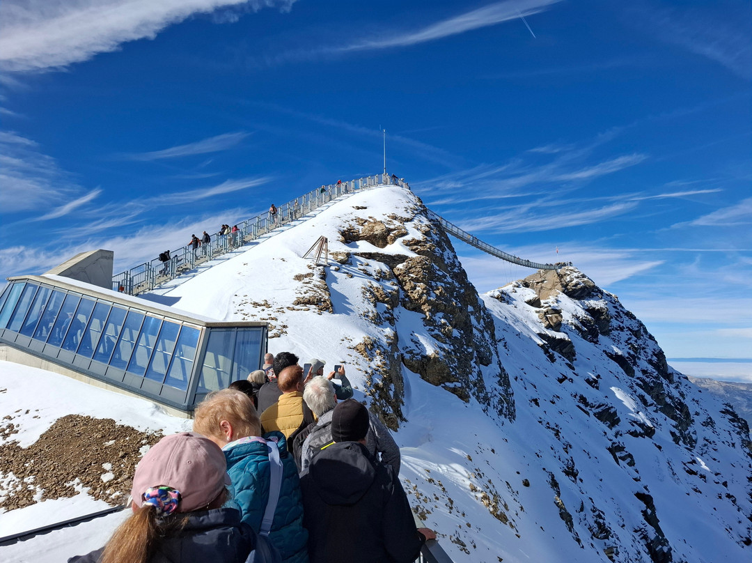 Newmarket Holidays-Wallington必去景点