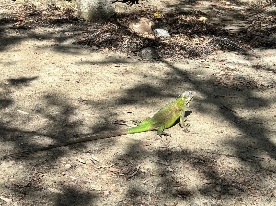 Balade du Soleil-Le Francois必去景点
