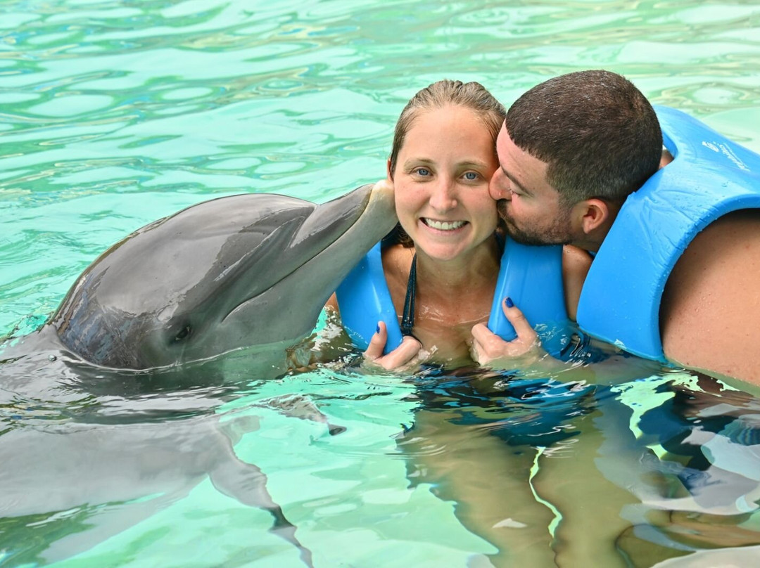 互动式水族馆-坎昆必去景点