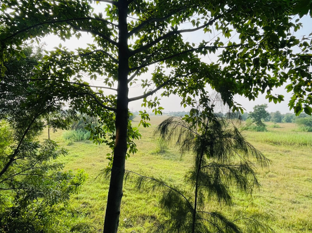 Tadoba Jungle Camp - Jungle Camps India主图