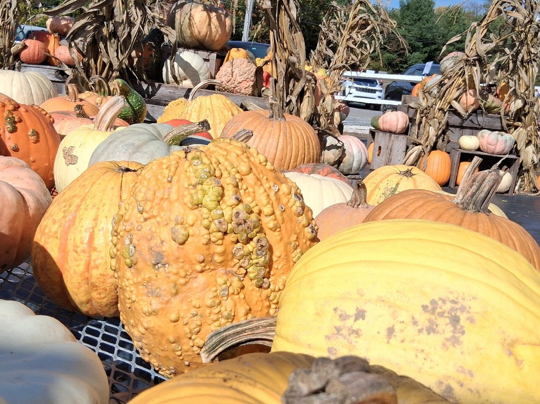 Pennings Farm-Warwick必去景点