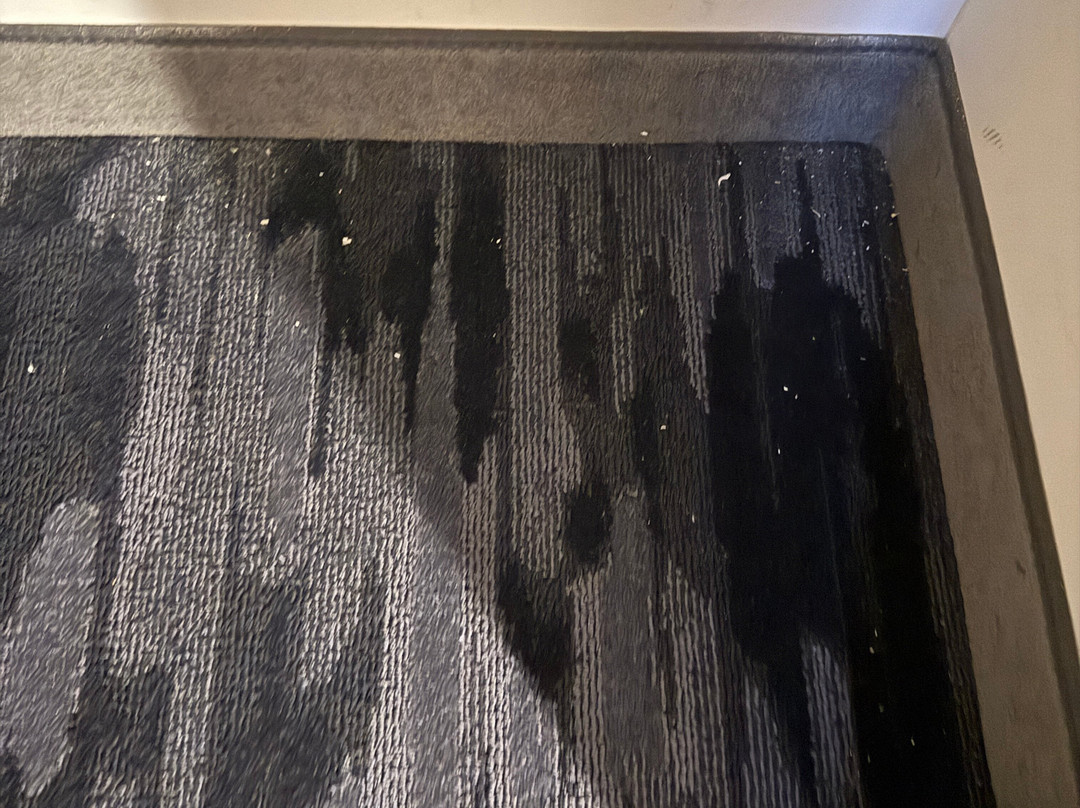 纽约拉瓜迪亚机场/法拉盛费尔菲尔德万豪酒店主图