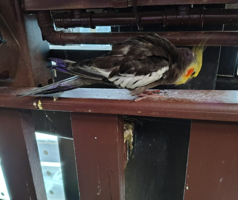 Oceanic Aquarium-康泊琉海水浴场必去景点