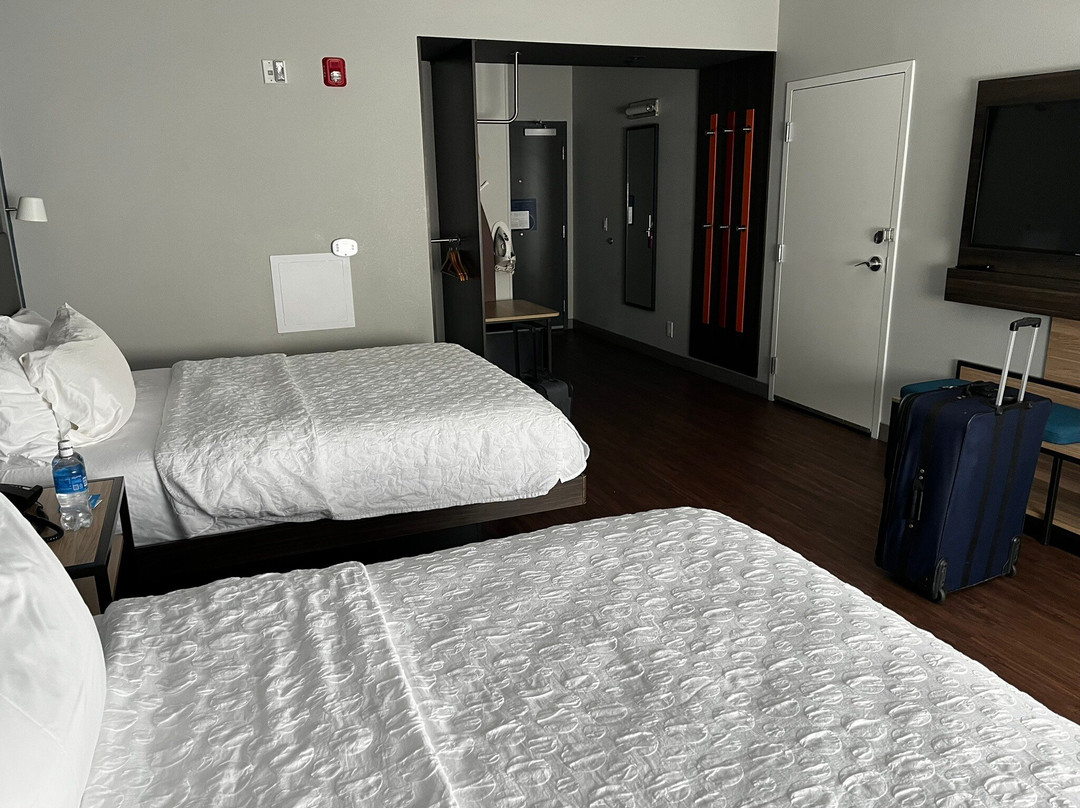 Tru by Hilton Lynchburg主图