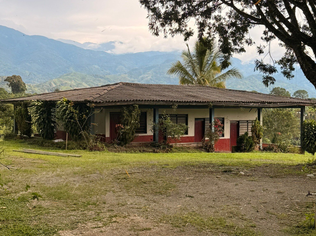 Finca Las Palmitas - Quindio-亚美尼亚必去景点
