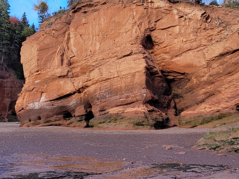 Tide Rollers & Mudlarkers-Parrsboro必去景点