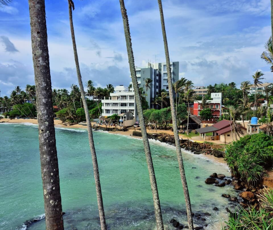 Coconut Tree Hill-美蕊沙必去景点