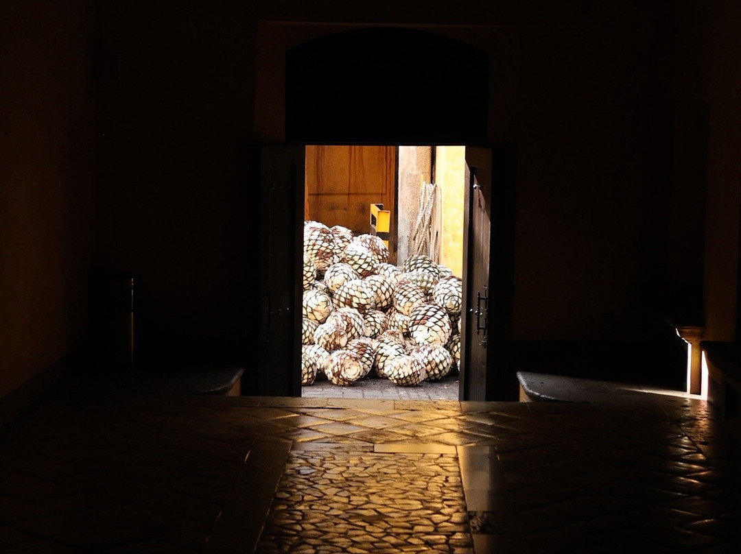 Fábrica La Rojeña-特基拉必去景点