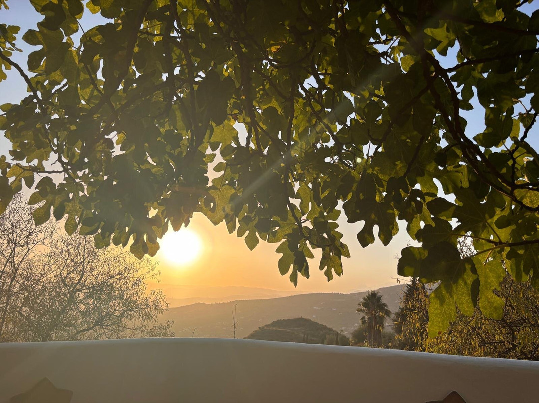 El Nispero Dulce主图