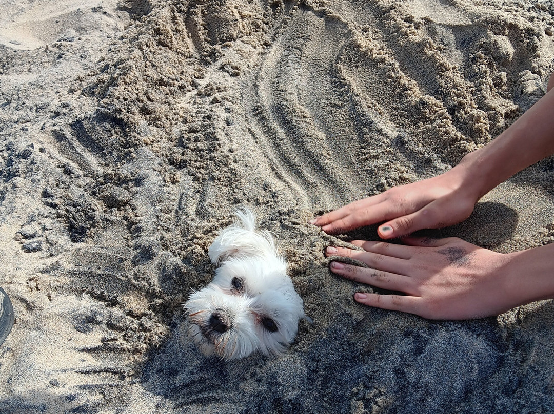 Hotel Bethany Beach主图