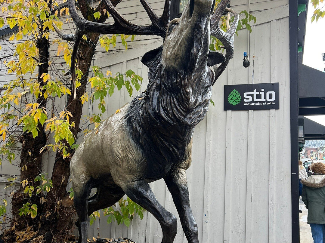 Park City Visitor Information Center-帕克城必去景点