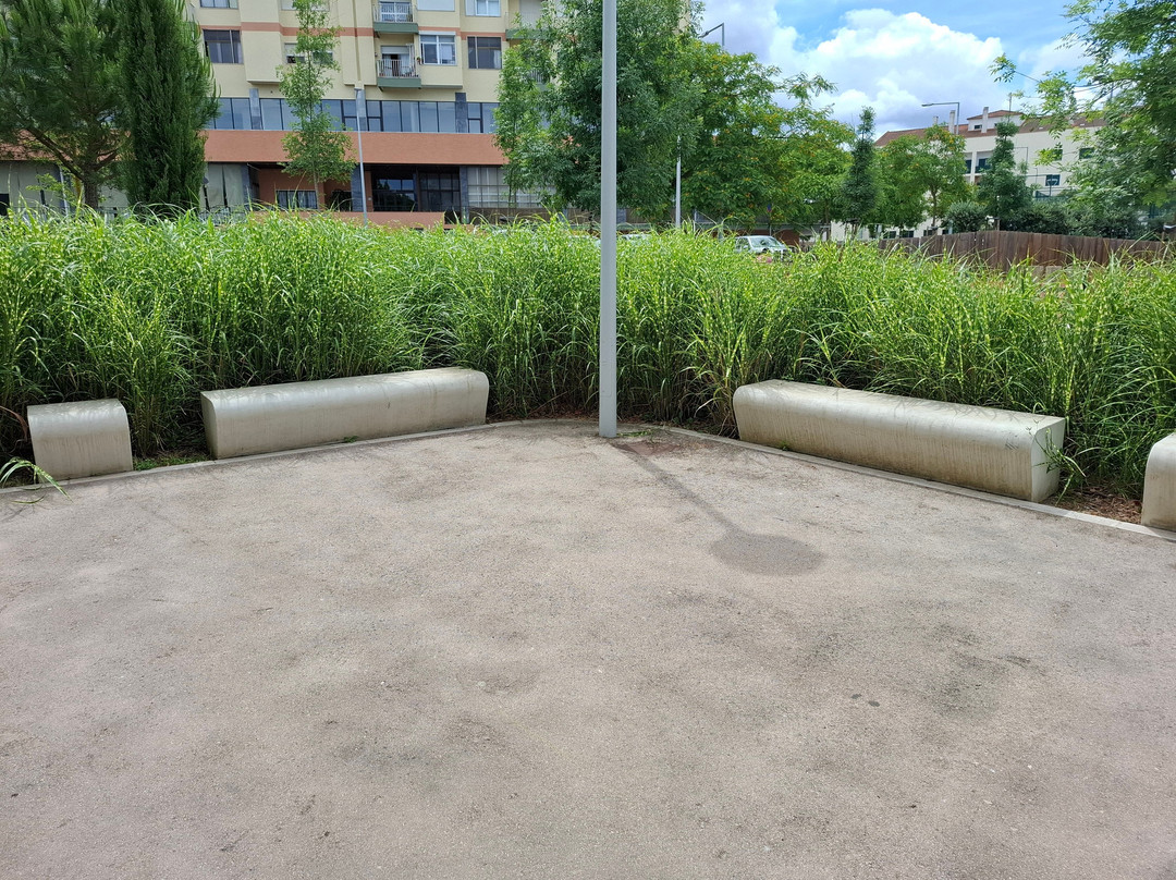 Parque Ruy Luis Gomes