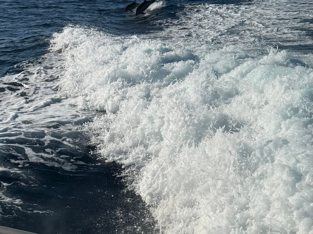 AllinBlusive - Private Cruises-Sani必去景点