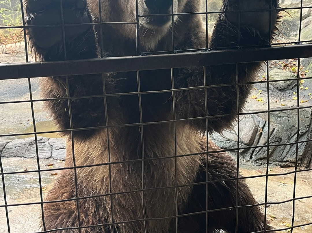 Safari Zoological Park-Caney必去景点