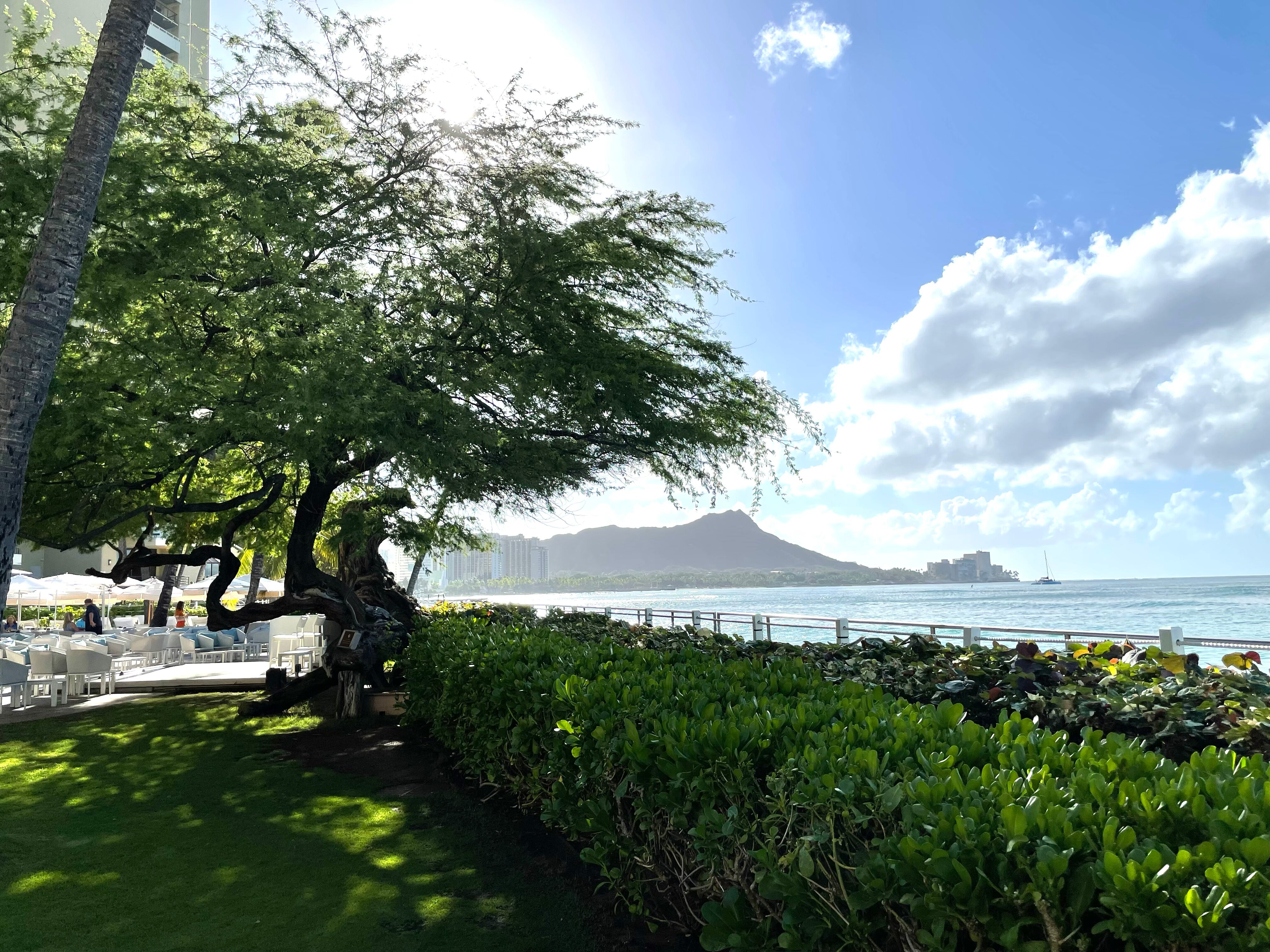 哈利库拉尼酒店-浴室