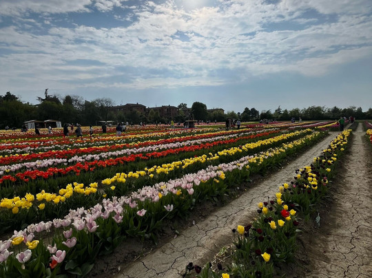 Tulipark-博洛尼亚必去景点