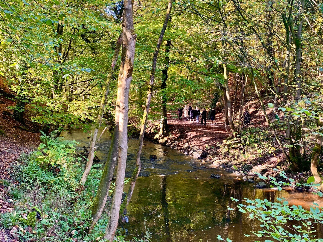 Skipton Castle Woods-斯基普顿必去景点