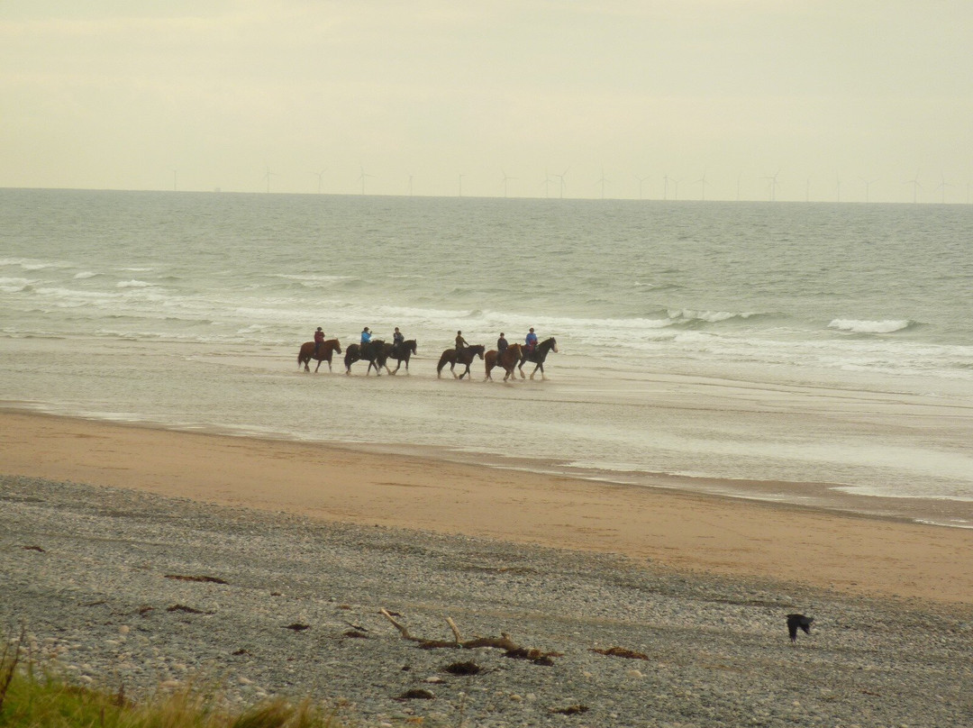 Cumbrian Heavy Horses-Millom必去景点