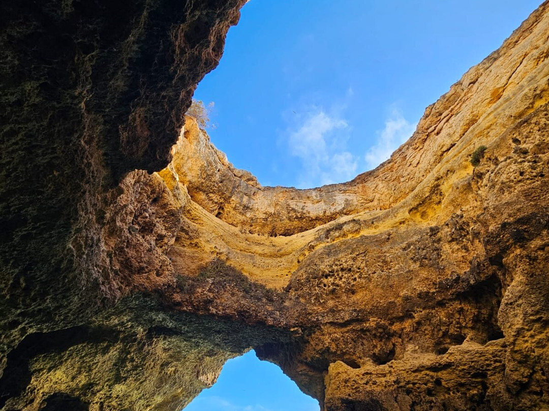 Tridente Boat Trips-阿玛考德佩拉必去景点