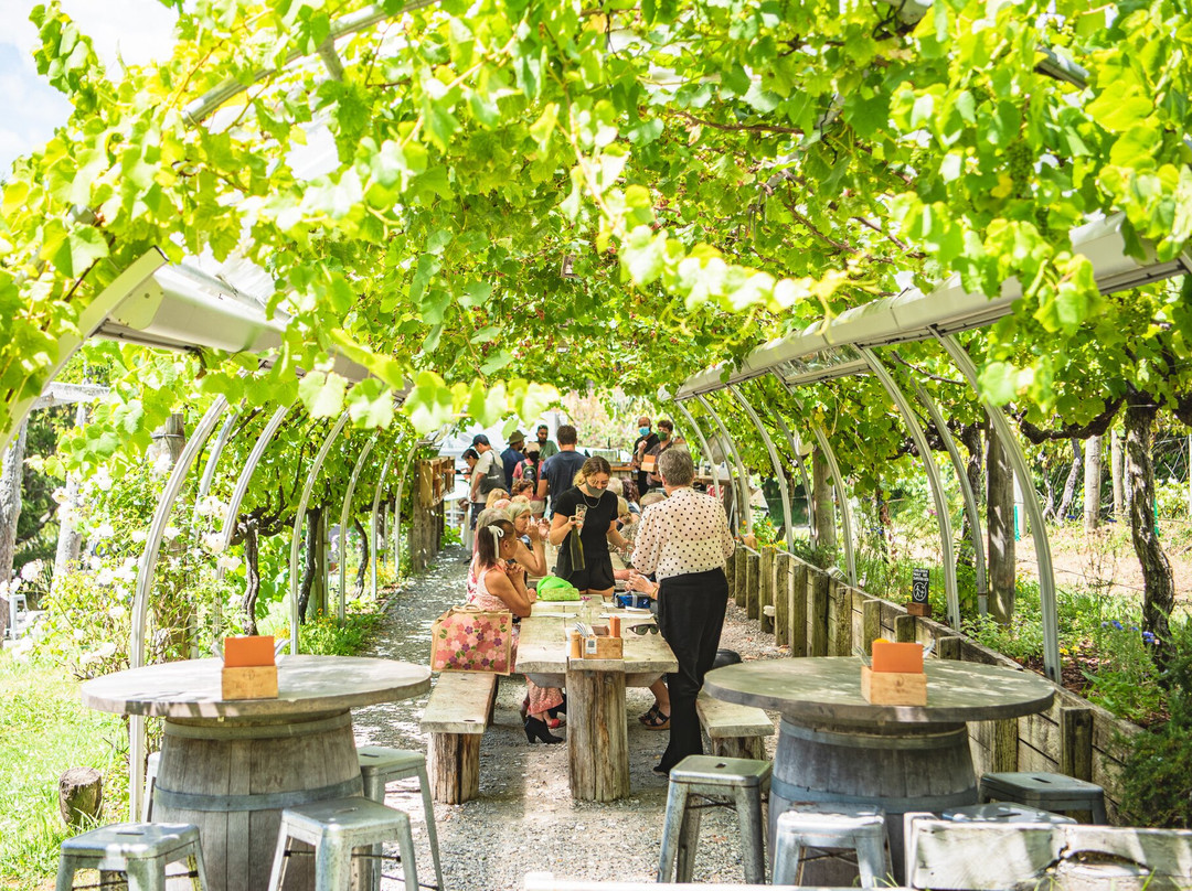 Matakana Tours-马塔卡纳小镇必去景点