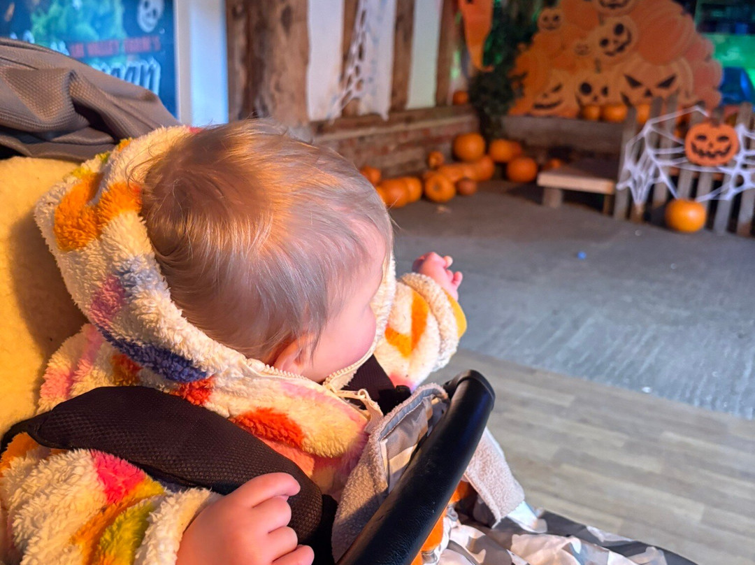 Lee Valley Animal Adventure Park-沃尔萨姆阿比必去景点