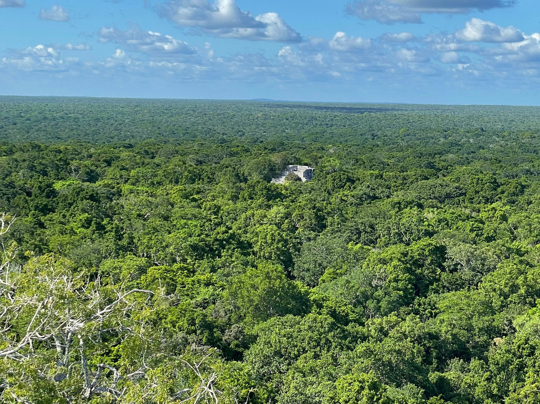 Chetumal Tours-切图马尔必去景点