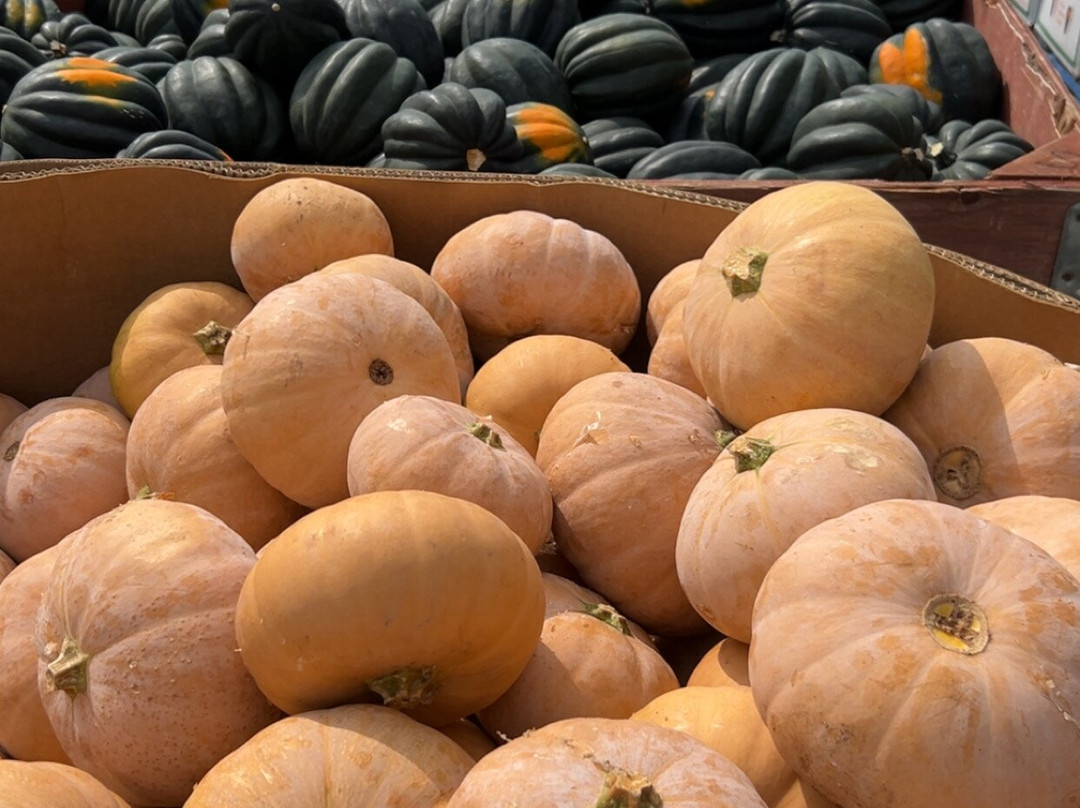 Farmer To You - Taylor Farms-邓达斯必去景点