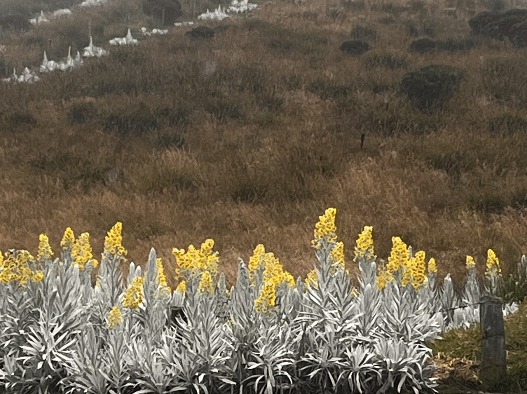 Laguna Negra Parque Reserva Natural-Manizales必去景点