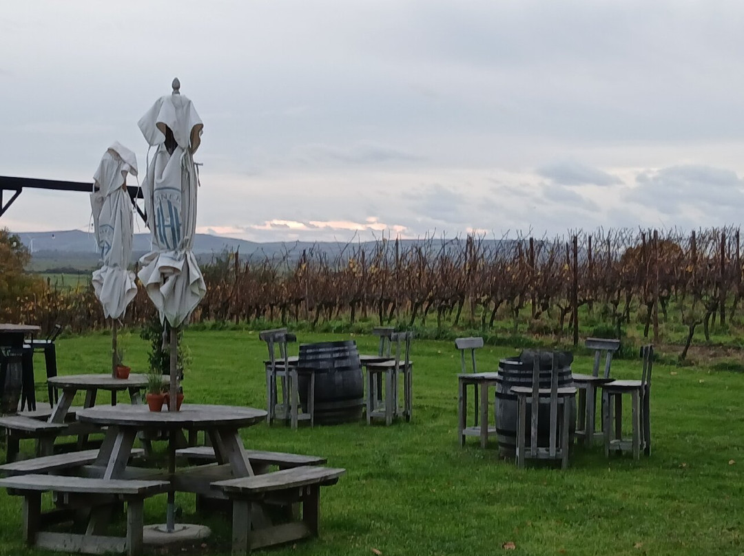 Henners Vineyard-Herstmonceux必去景点