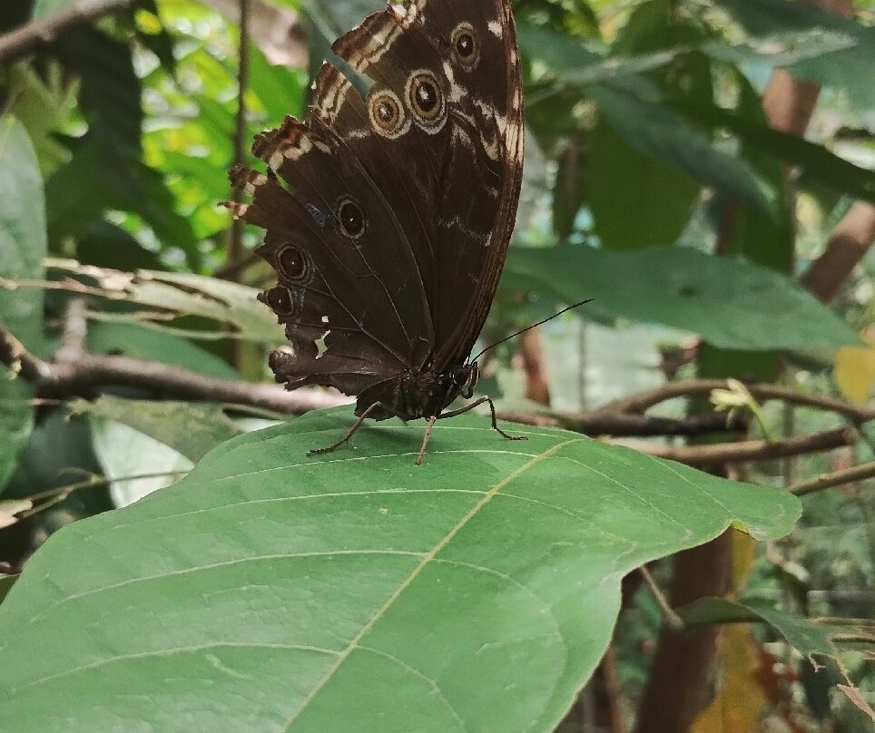 Parque Ecobiológico Maripoxa-奥克萨潘帕必去景点