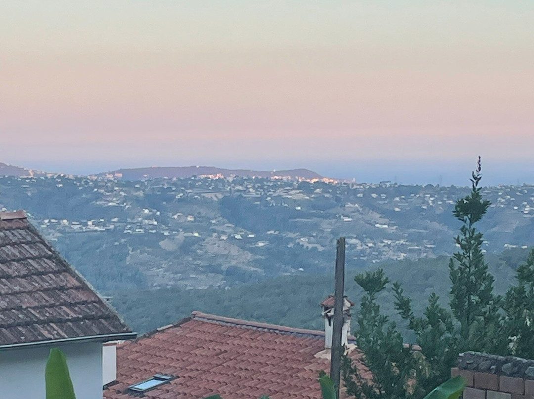 The Frogs' House主图