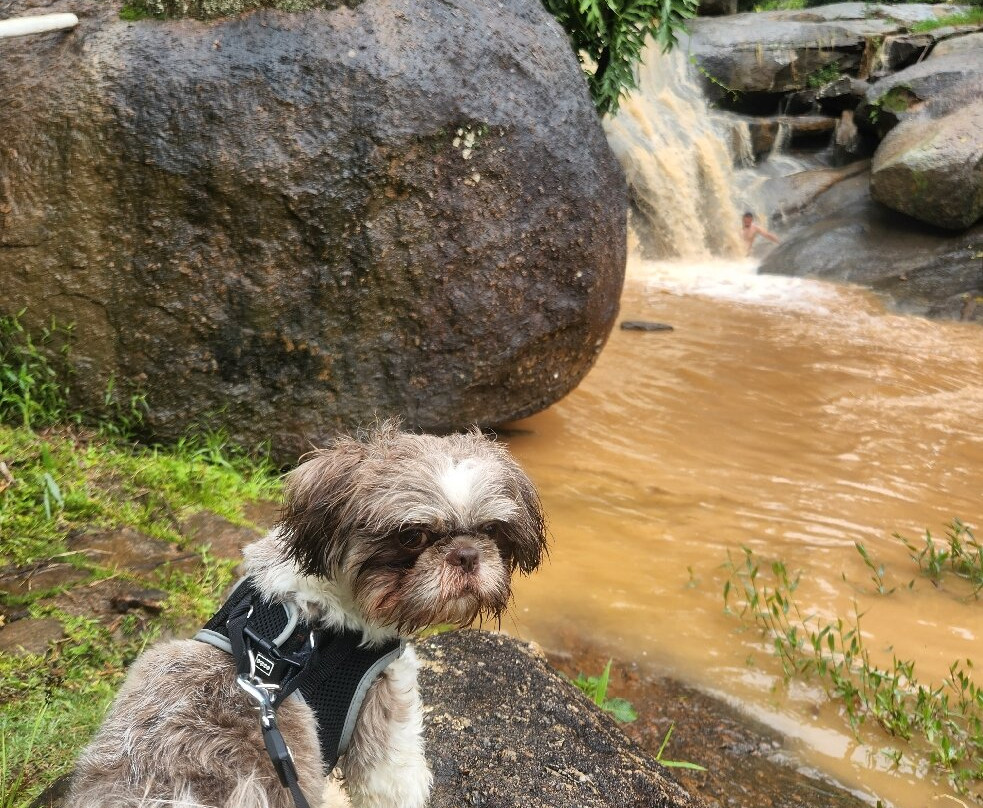 Parque Aui Maue-索科罗必去景点